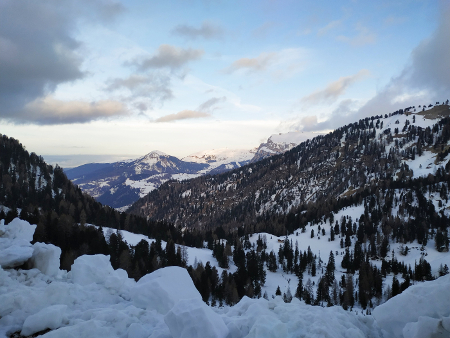 Paesaggio innevato